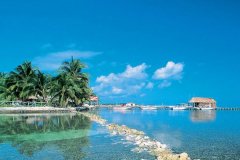 伯利茲公司注冊后能否在國內直接經(jīng)營(yíng)