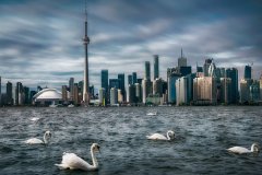 注冊加拿大社團等非營(yíng)利組織