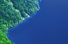 如何查詢(xún)BVI公司信息