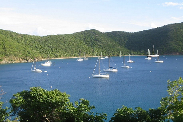 BVI公司經(jīng)營(yíng)范圍如何填寫(xiě)