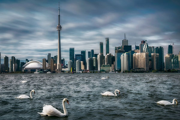 注冊加拿大社團等非營(yíng)利組織