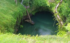 薩摩亞注冊公司查詢(xún)