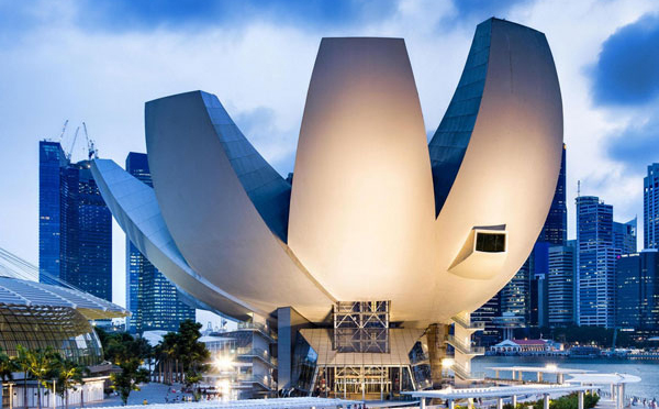 新加坡公司注冊證書(shū)與注冊紙BIZFILE