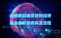 注冊新加坡非營(yíng)利組織基金會(huì )所需資料及流程