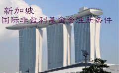 新加坡國際非盈利基金會(huì )注冊條件