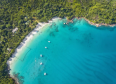 注冊塞舌公司類(lèi)型及優(yōu)勢有哪些？