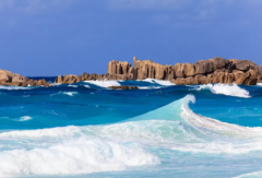 塞舌爾公司逾期年審有什么后果？