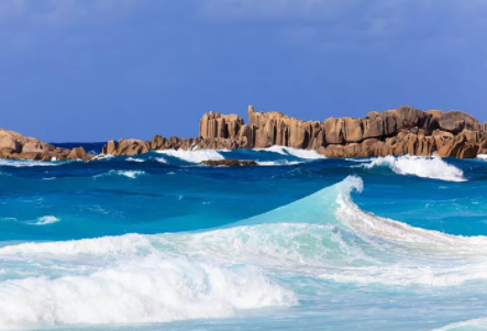 塞舌爾公司逾期年審有什么后果？