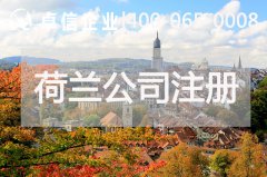 荷蘭公司運營(yíng)涉及稅種介紹