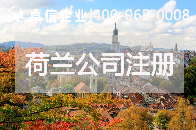 荷蘭公司運營(yíng)涉及稅種介紹