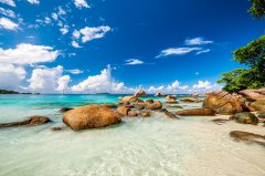 塞舌爾公司注冊全攻略：關(guān)鍵要點(diǎn)與注意事項