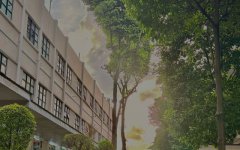 柬埔寨開(kāi)工廠(chǎng)，難度究竟藏在哪?