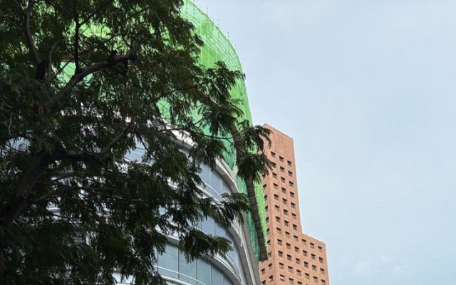 馬來(lái)西亞擔任公司董事的條件全解析