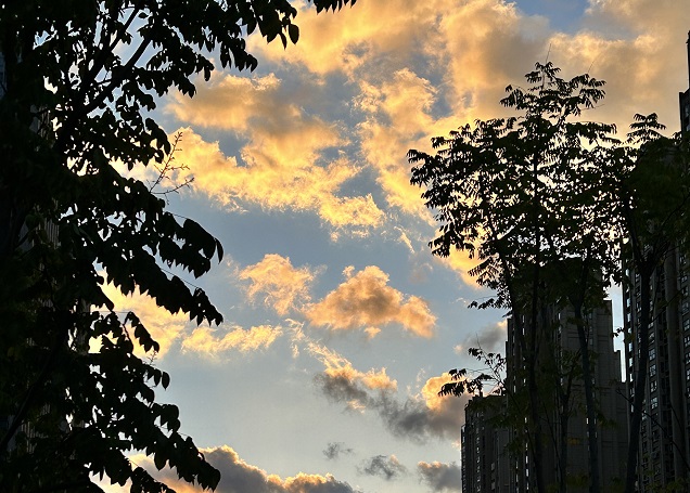 香港高才通續簽的申請時(shí)間有要求嗎