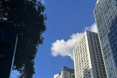 哈薩克斯坦公司注冊：委托代理機構辦理的可行性說(shuō)明